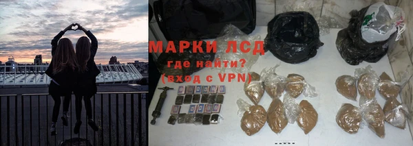 трава Верея