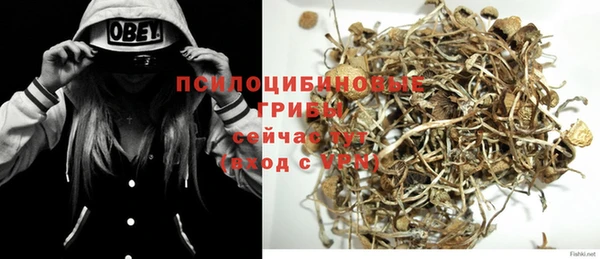 трава Верея